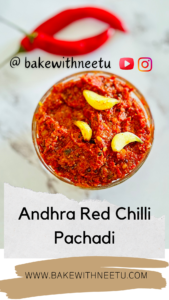 Authentic Andhra Spicy Red Chilli Pachadi Recipe – Explore Traditional Indian Flavors